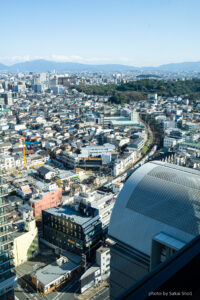 堺市って本当に古墳が多いの